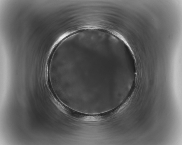 X0000085761179200703161111