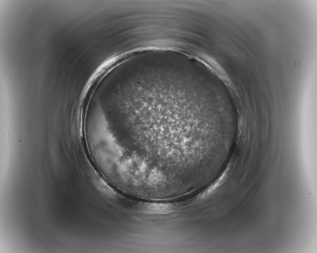X0000085761180200703161111