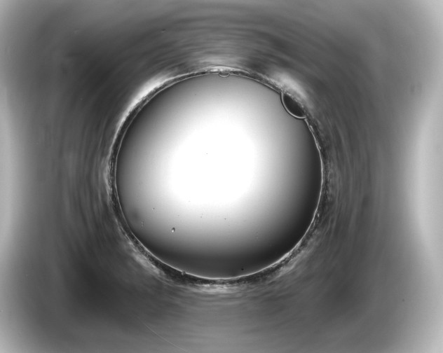 X0000085761182200703161111