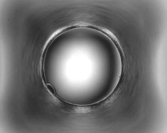 X0000085761183200703161111