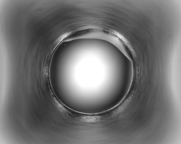 X0000085761185200703161111