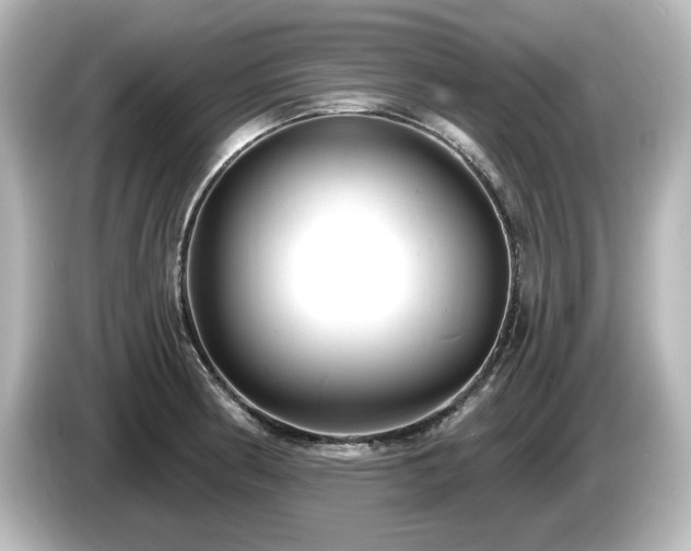 X0000085761186200703161111