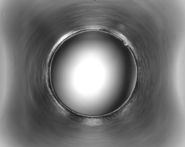 X0000085761187200703161111