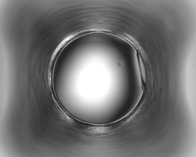 X0000085761188200703161111