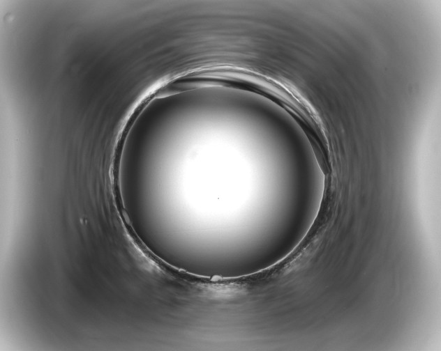 X0000085761189200703161111