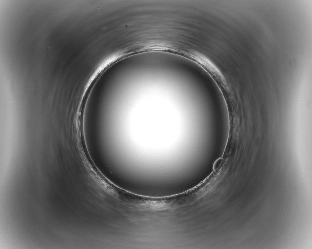 X0000085761190200703161111