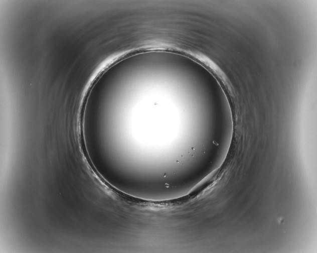 X0000085761191200703161111