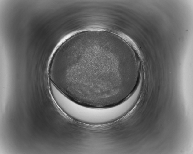 X0000085761192200703161111