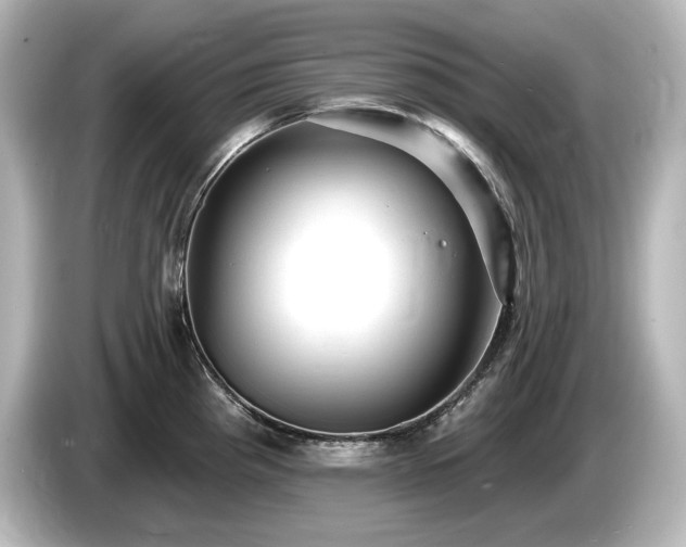 X0000085761193200703161111