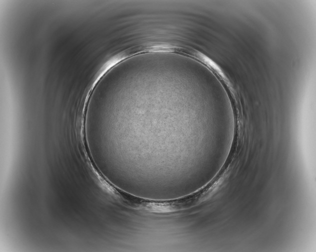X0000085761194200703161111