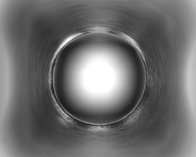 X0000085761195200703161111