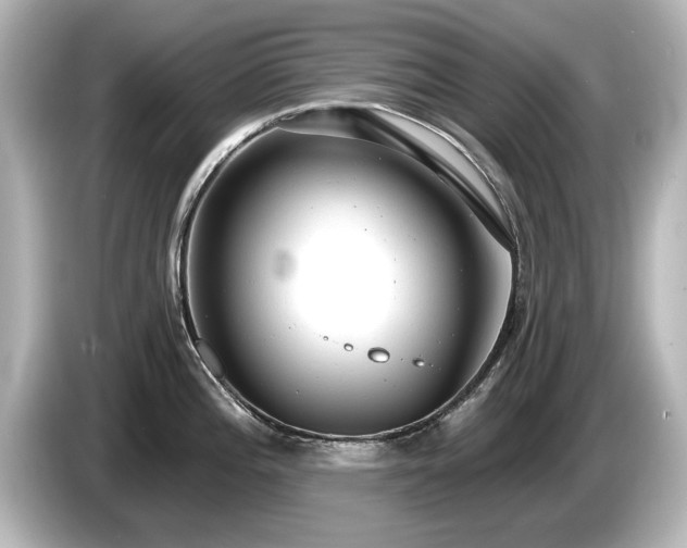 X0000085761196200703161111