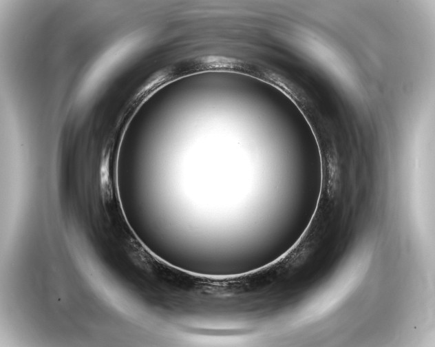 X0000085761198200703161111
