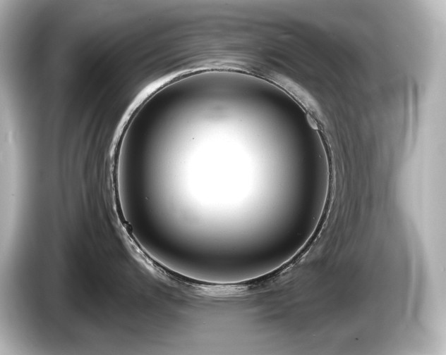 X0000085761200200703161111