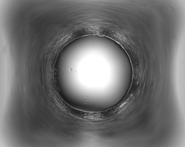X0000085761201200703161110