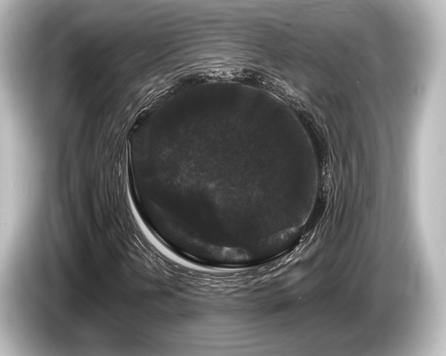 X0000085761202200703161110