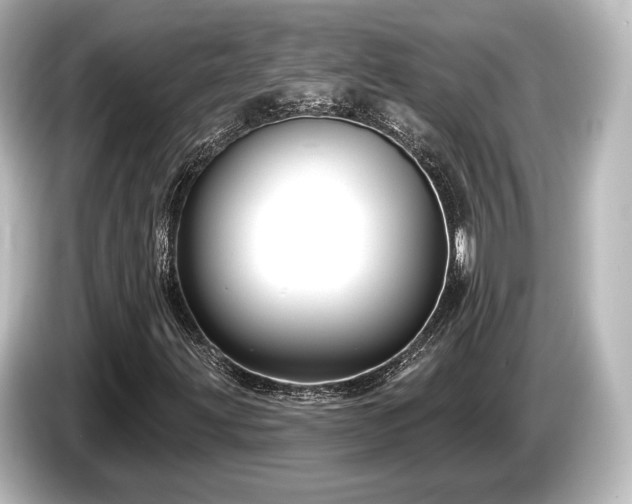 X0000085761203200703161110