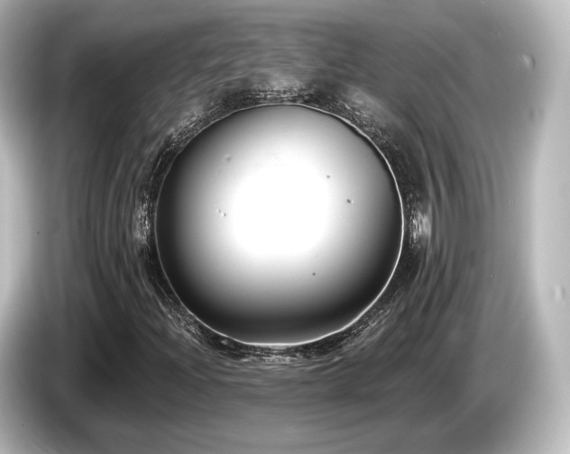X0000085761204200703161110