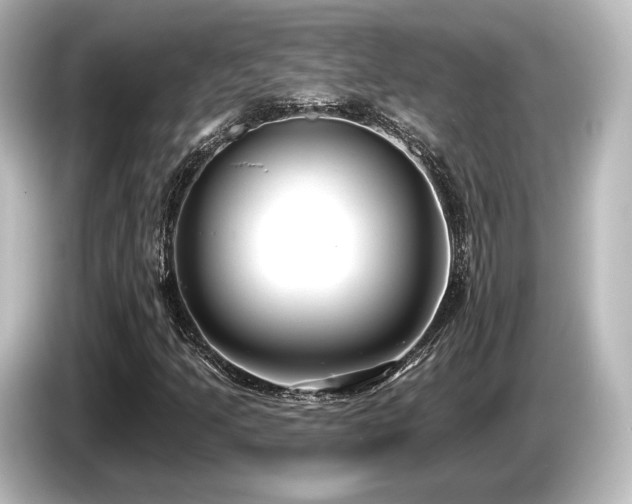 X0000085761205200703161110