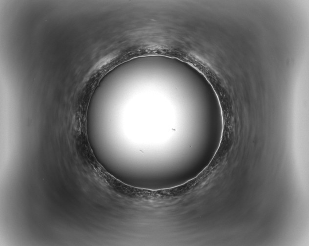 X0000085761207200703161110