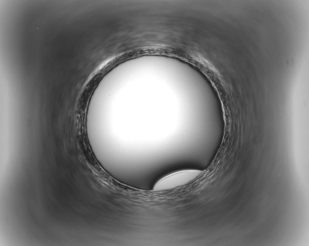 X0000085761208200703161110