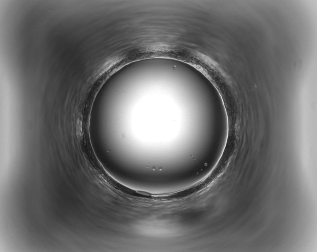 X0000085761209200703161110