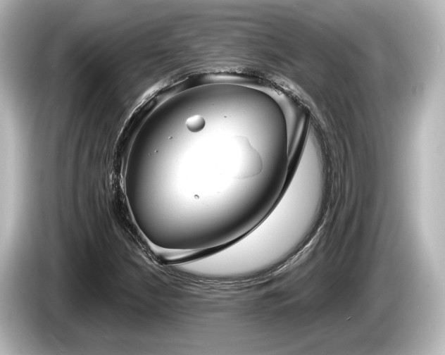 X0000085761210200703161110