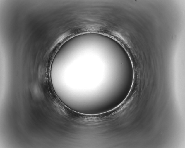 X0000085761211200703161110