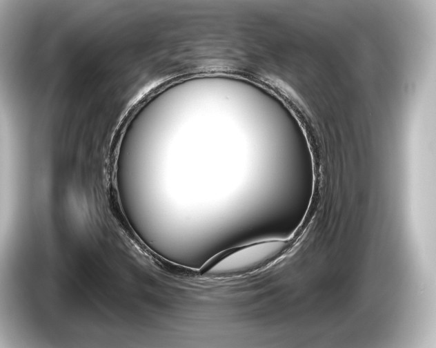 X0000085761212200703161110