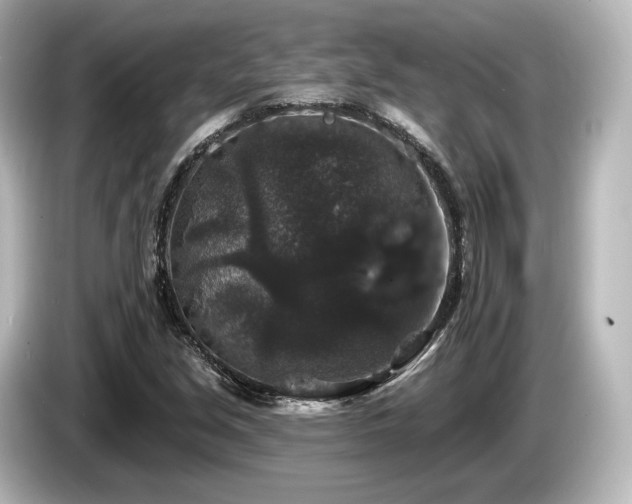 X0000085761213200703161110