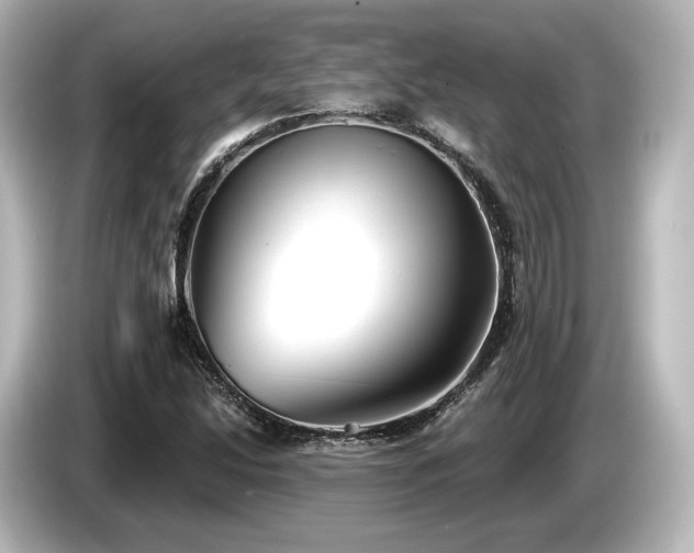 X0000085761214200703161110