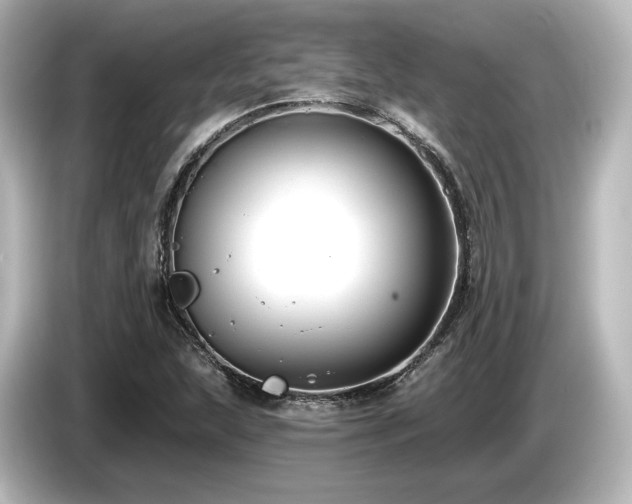X0000085761215200703161110