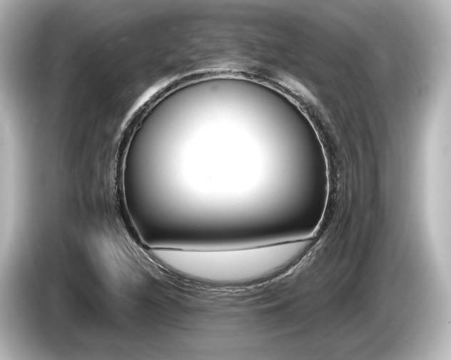 X0000085761216200703161110
