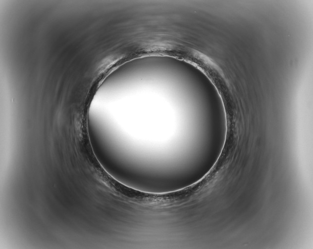 X0000085761217200703161110