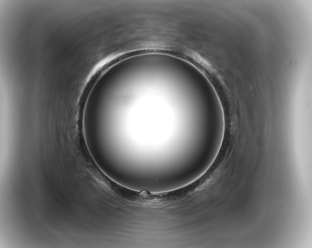 X0000085761222200703161110