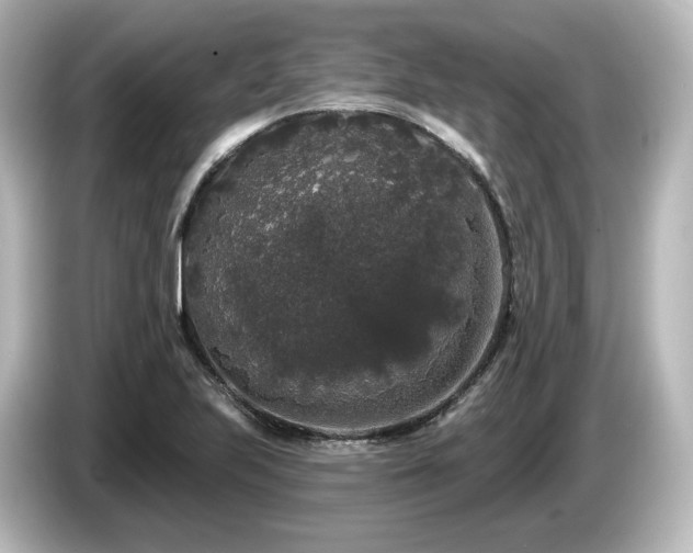 X0000085761223200703161110
