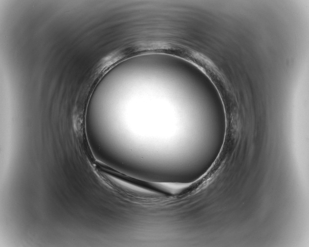 X0000085761225200703161110