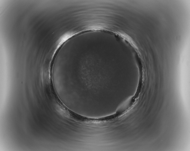 X0000085761226200703161110