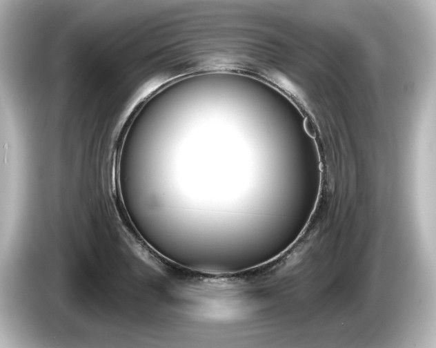 X0000085761227200703161110