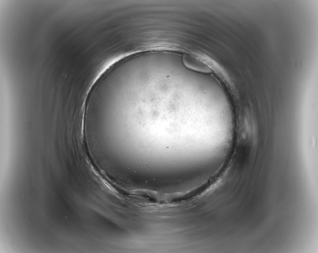 X0000085761228200703161110