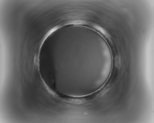 X0000085761229200703161110