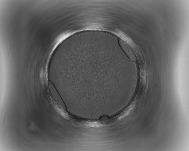 X0000085761230200703161110