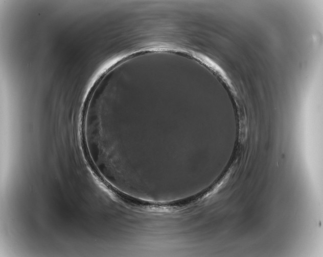 X0000085761231200703161110