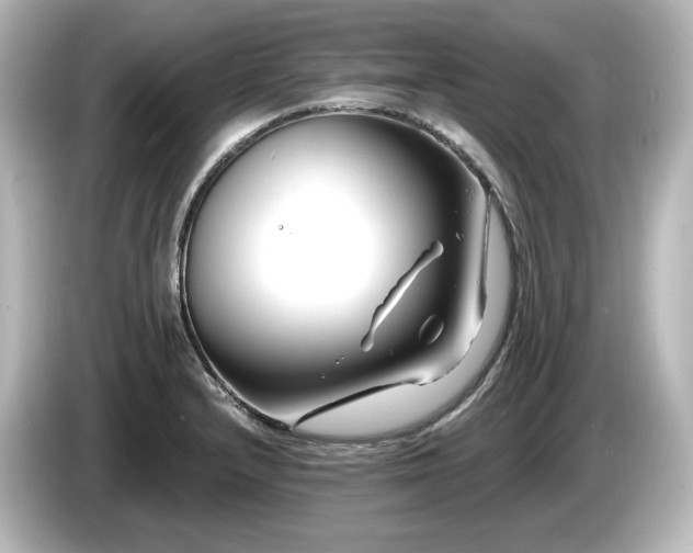 X0000085761232200703161110