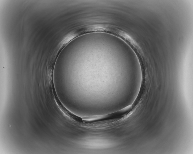 X0000085761233200703161110