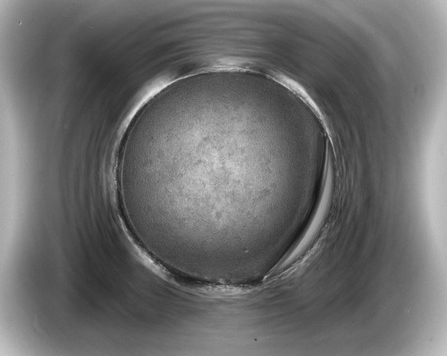 X0000085761235200703161110
