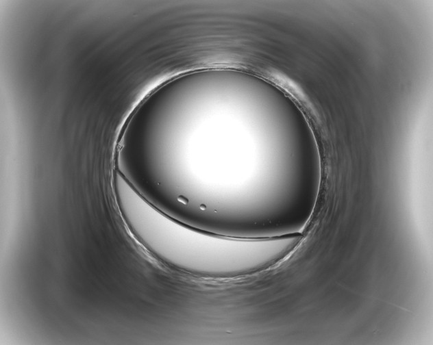 X0000085761236200703161110