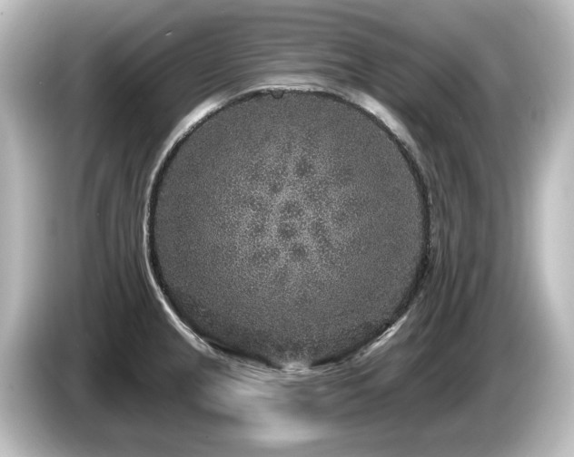 X0000085761237200703161110