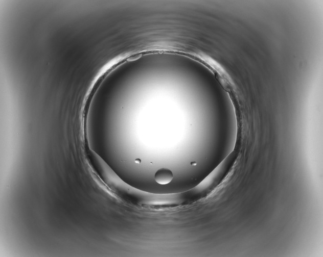 X0000085761238200703161110