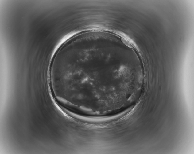 X0000085761239200703161110